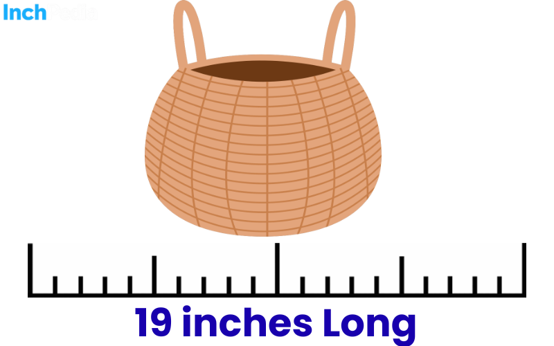 How Long Is 19 Inches