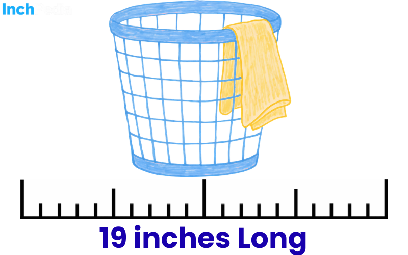 How Long Is 19 Inches