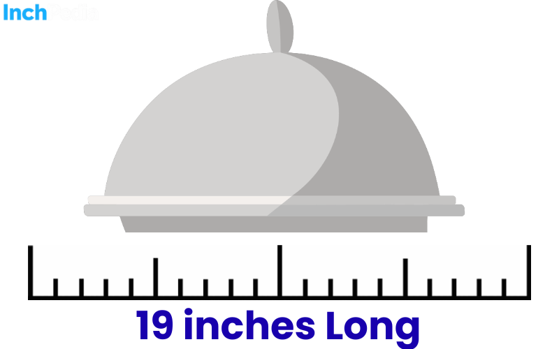 How Long Is 19 Inches