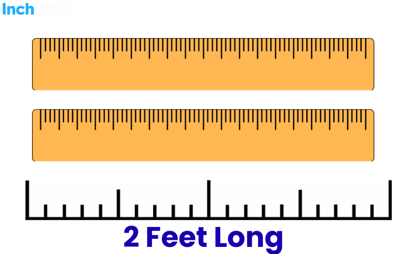 How Long Is 2 Feet