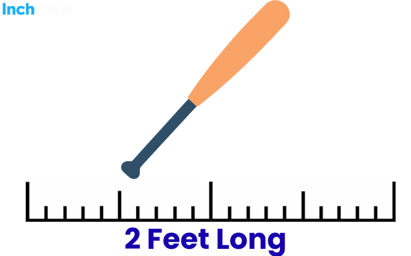 How Long Is 2 Feet