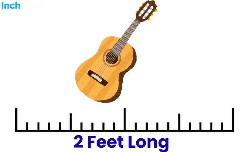 How Long Is 2 Feet