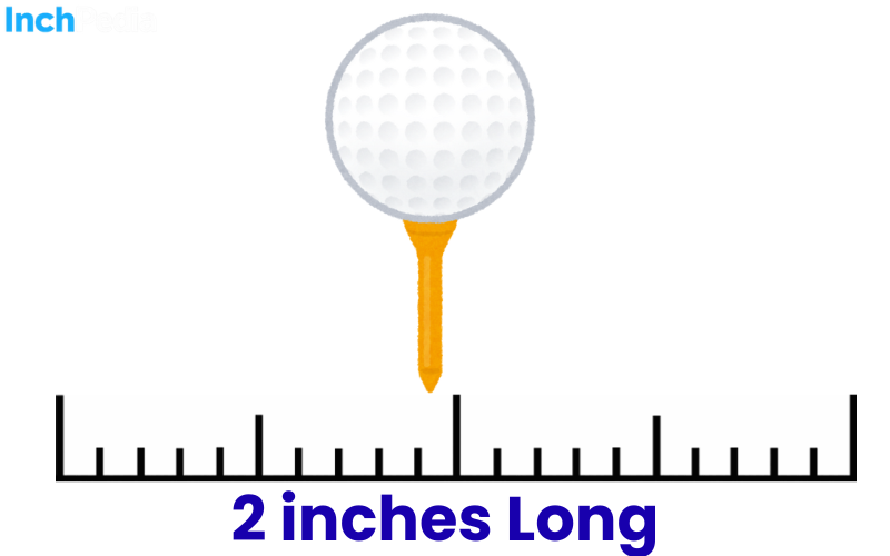 How Long Is 2 Inches