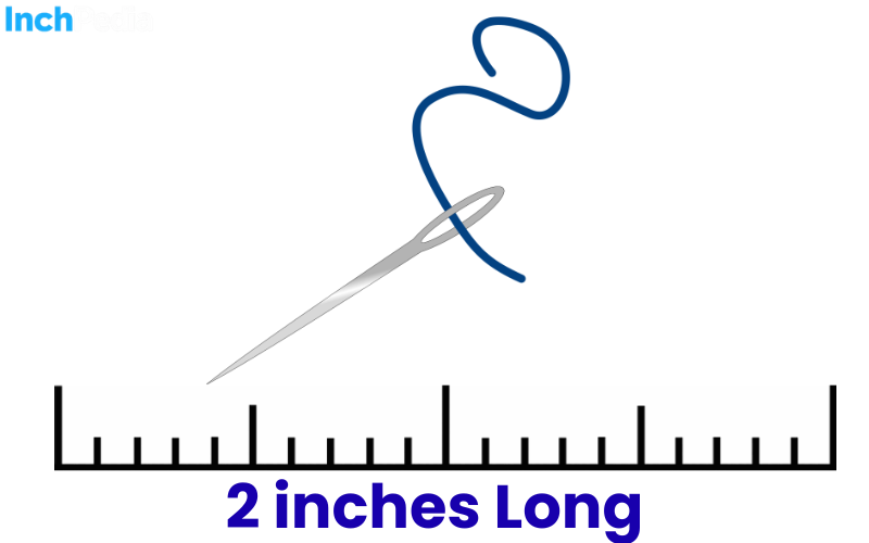 How Long Is 2 Inches