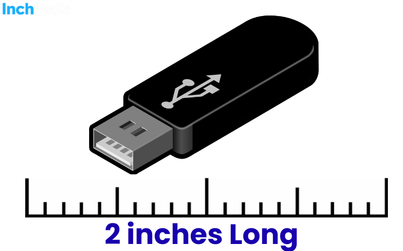 How Long Is 2 Inches