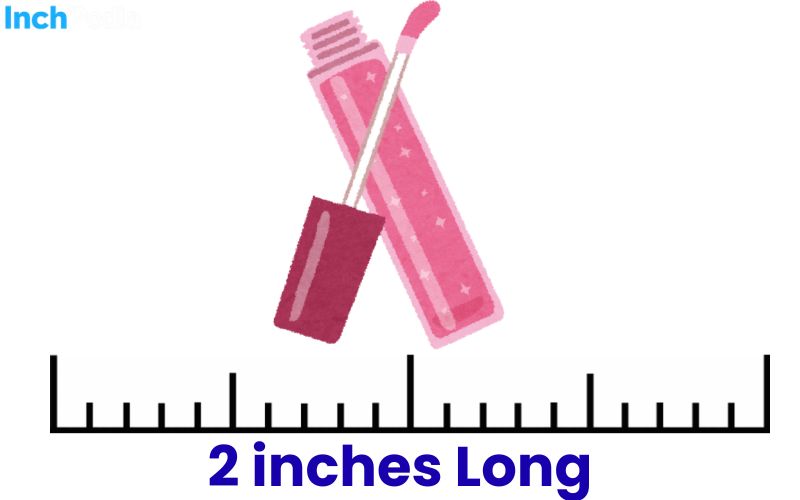 How Long Is 2 Inches