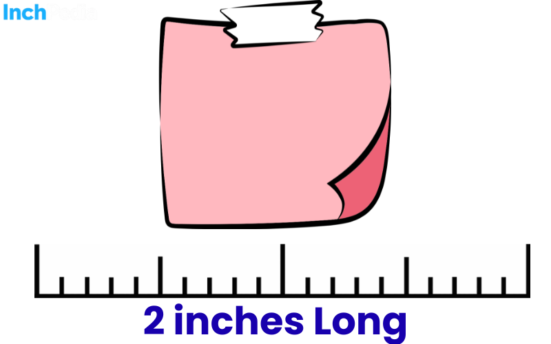 How Long Is 2 Inches