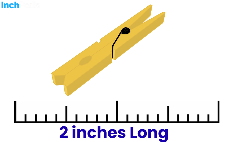 How Long Is 2 Inches