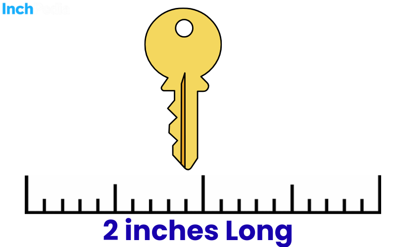 How Long Is 2 Inches