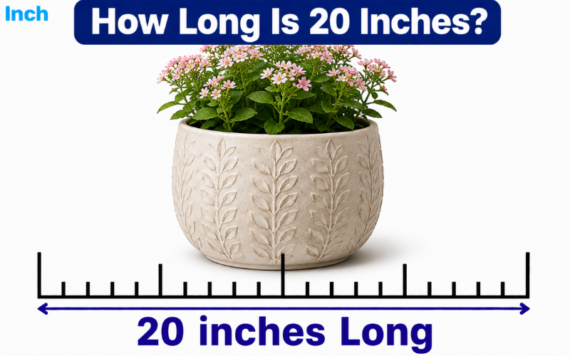 How Long Is 20 Inches