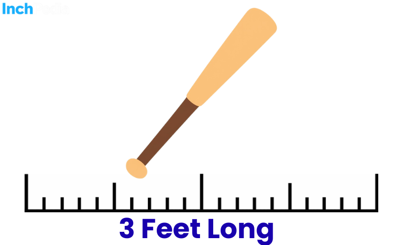 How Long Is 3 Feet