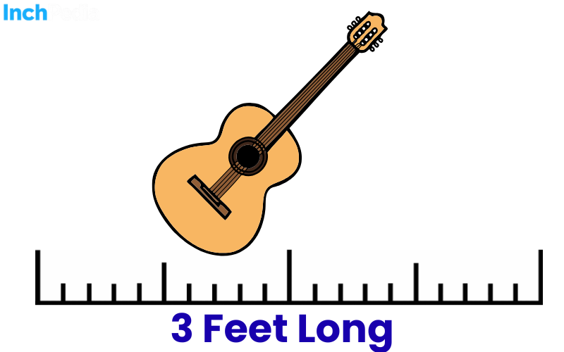 How Long Is 3 Feet