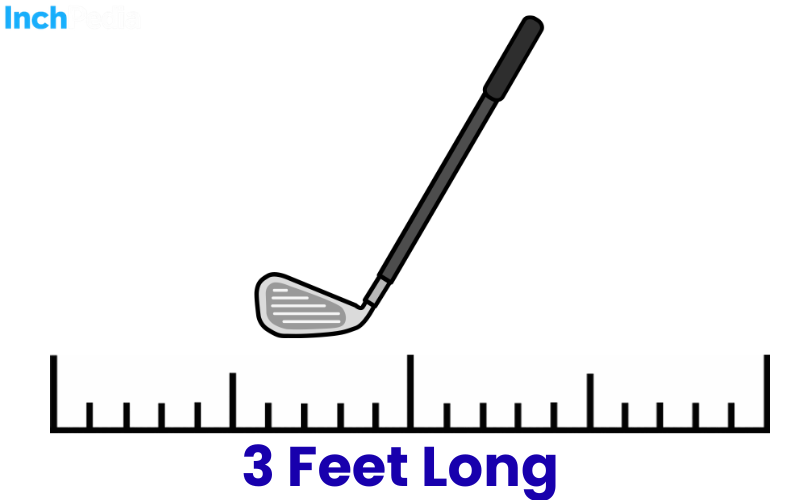 How Long Is 3 Feet