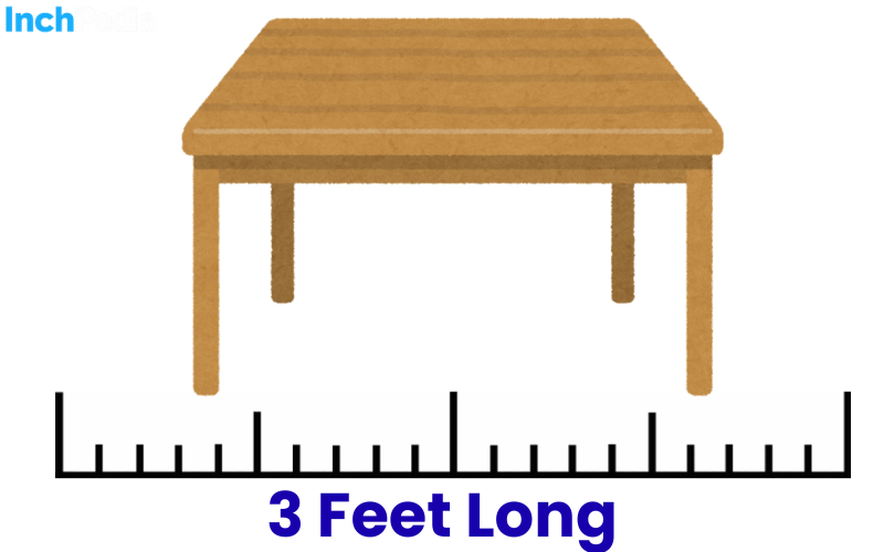 How Long Is 3 Feet