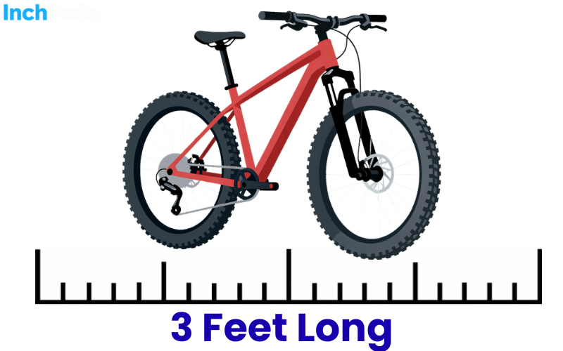 How Long Is 3 Feet