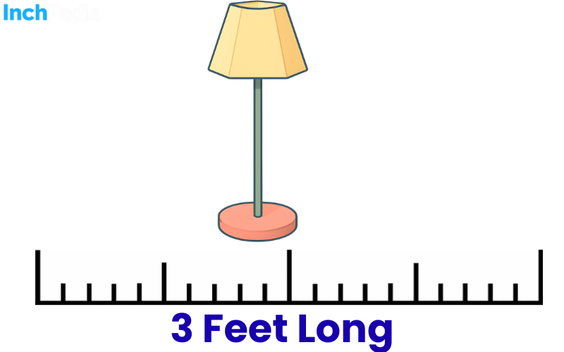 How Long Is 3 Feet