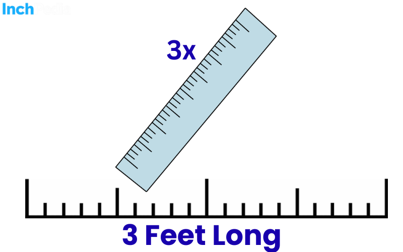 How Long Is 3 Feet