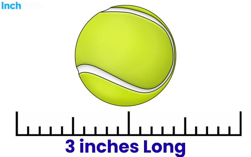How Long Is 3 Inches