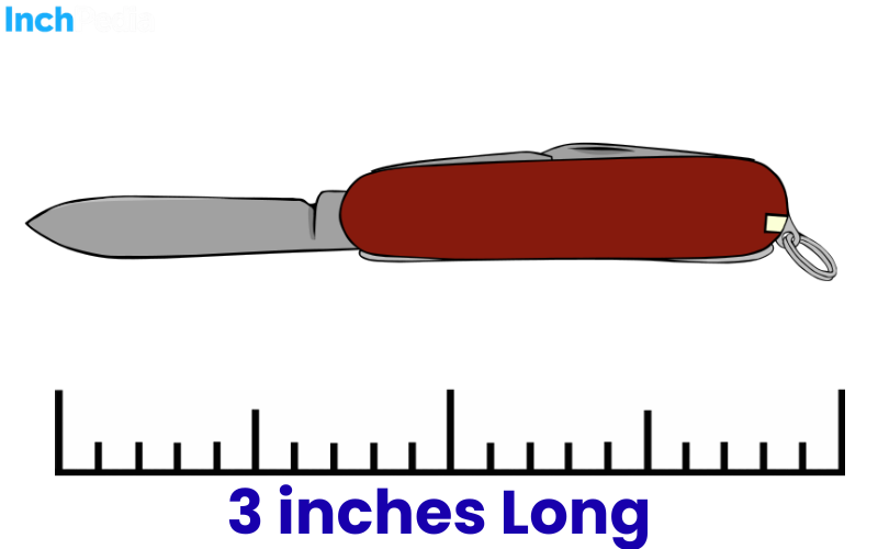 How Long Is 3 Inches