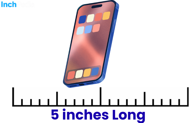 How Long Is 5 Inches