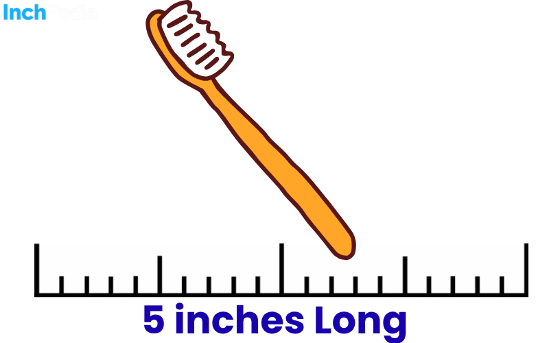 How Long Is 5 Inches