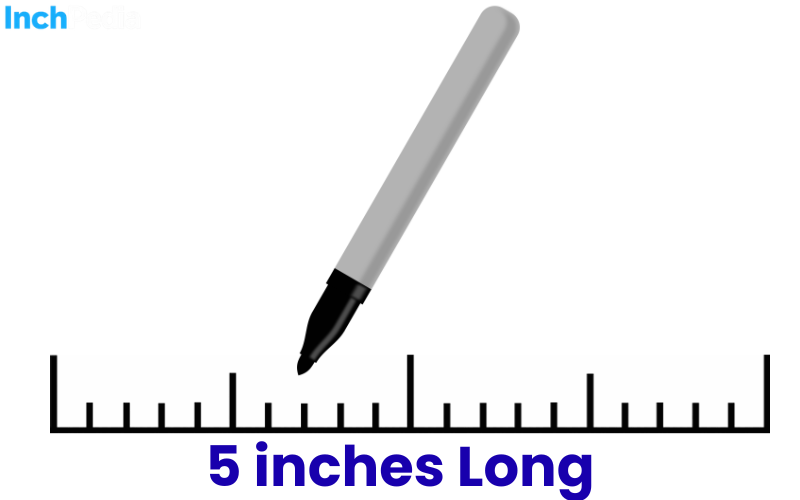 How Long Is 5 Inches