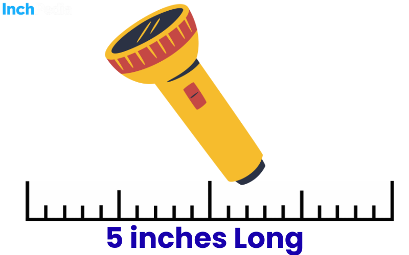 How Long Is 5 Inches