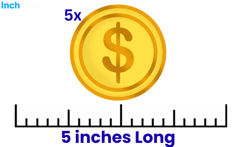 How Long Is 5 Inches