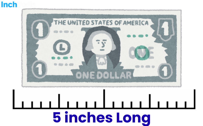 How Long Is 5 Inches