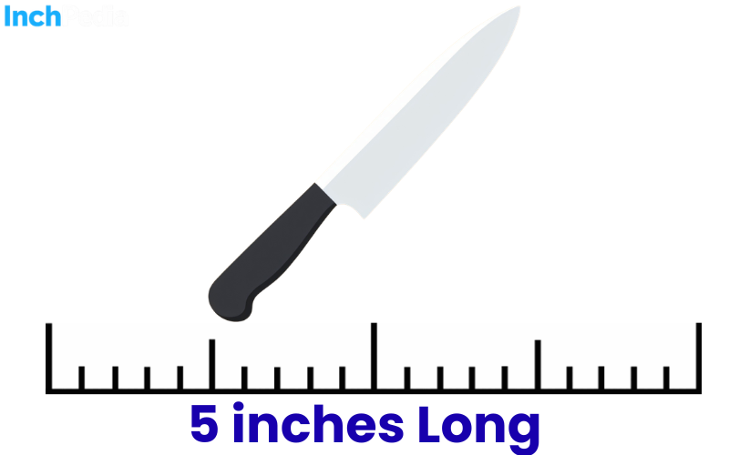 How Long Is 5 Inches