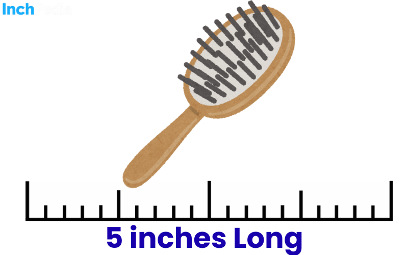 How Long Is 5 Inches