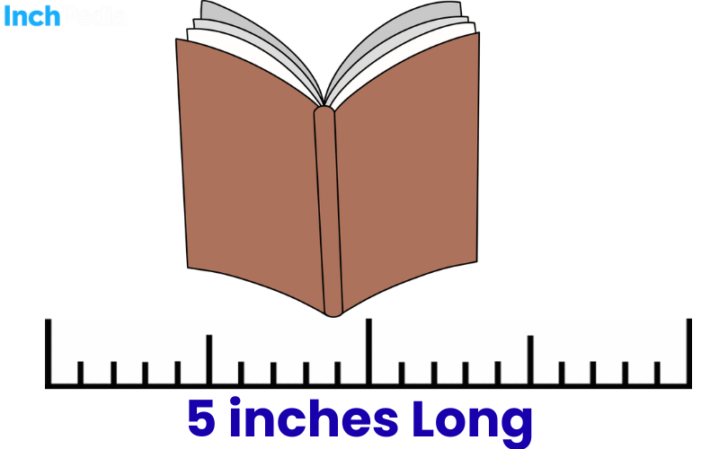 How Long Is 5 Inches