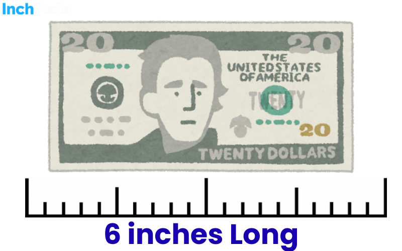 How Long Is 6 Inches