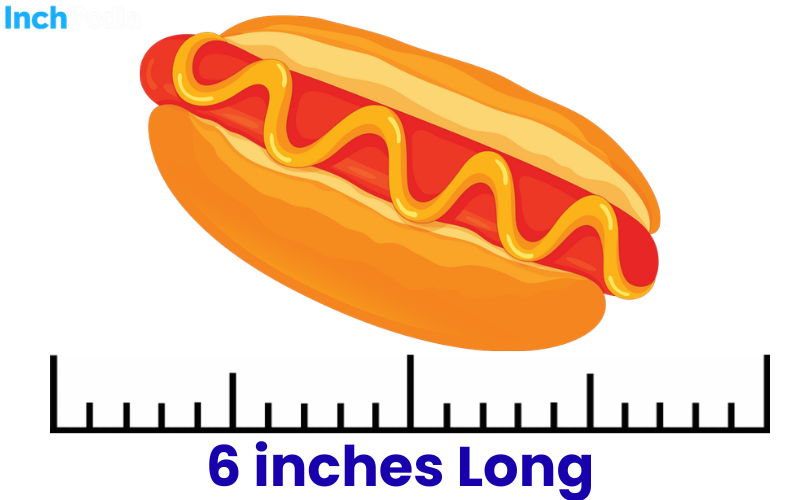 How Long Is 6 Inches