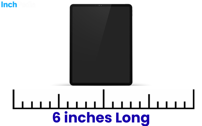 How Long Is 6 Inches