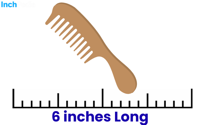 How Long Is 6 Inches