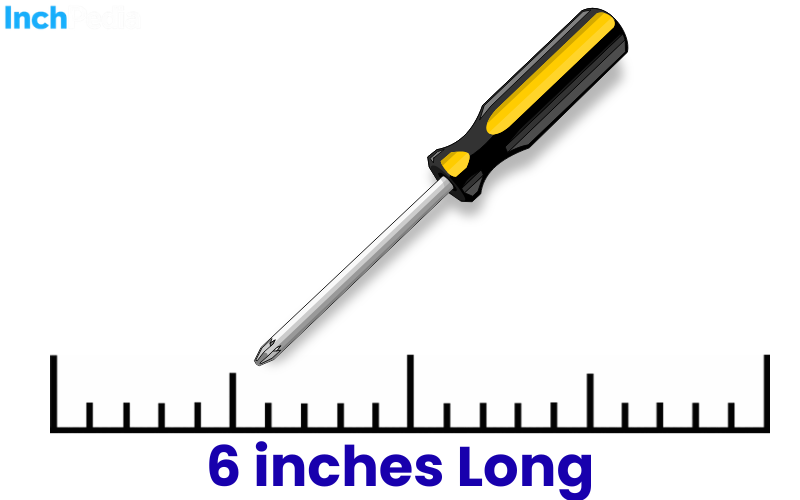 How Long Is 6 Inches