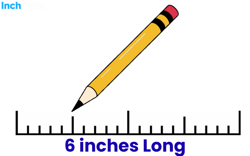How Long Is 6 Inches