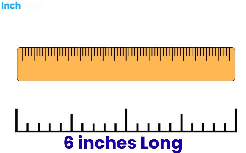 How Long Is 6 Inches