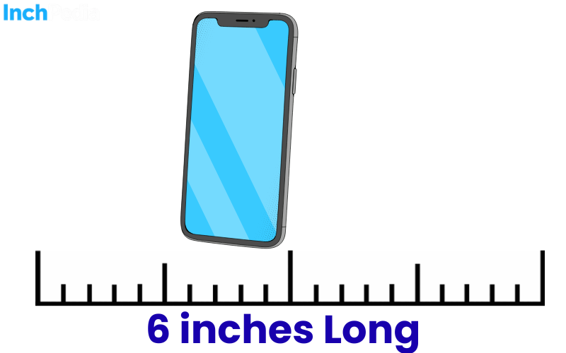 How Long Is 6 Inches