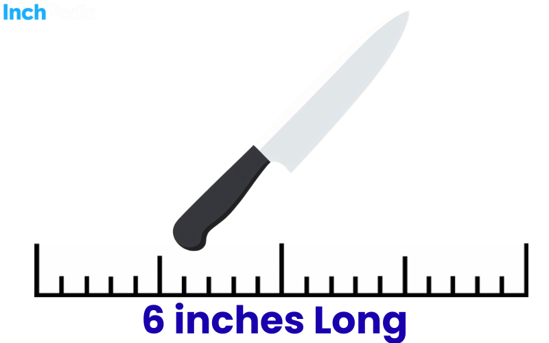 How Long Is 6 Inches