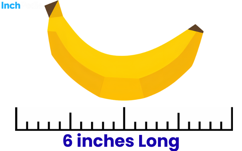 How Long Is 6 Inches