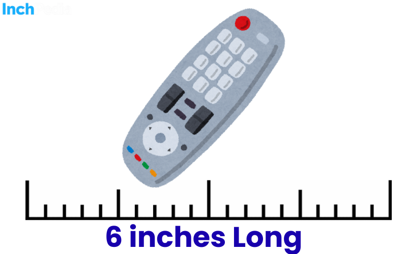 How Long Is 6 Inches