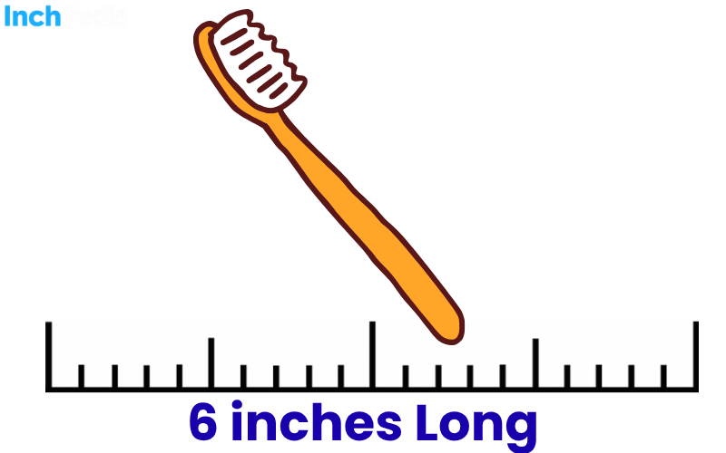 How Long Is 6 Inches