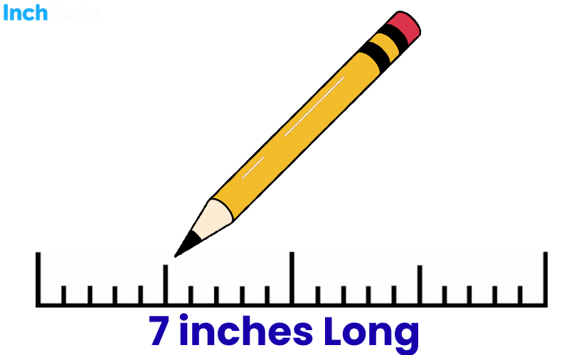 How Long Is 7 Inches
