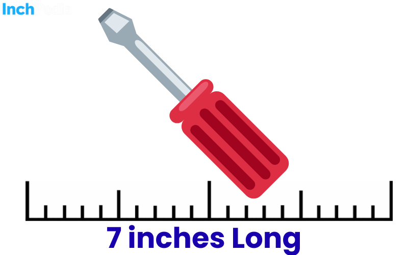 How Long Is 7 Inches