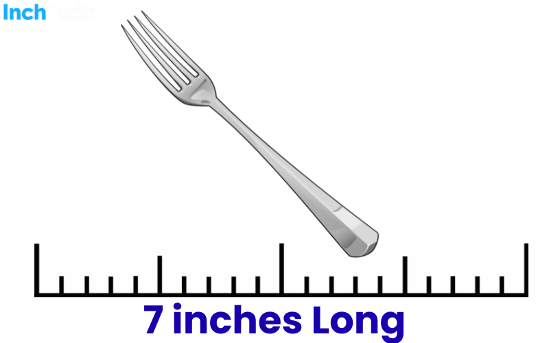How Long Is 7 Inches