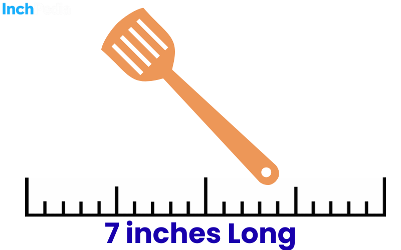 How Long Is 7 Inches