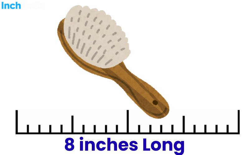 How Long Is 8 Inches