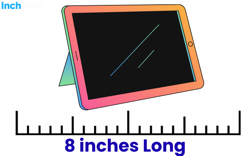 How Long Is 8 Inches